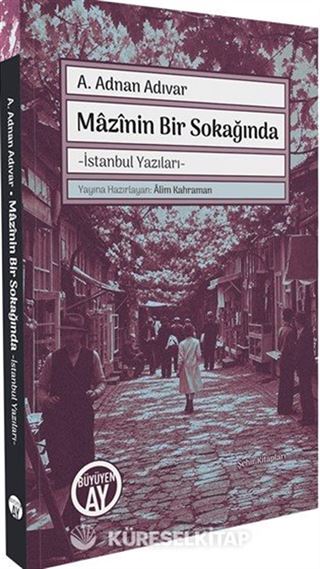 Mazinin Bir Sokağında