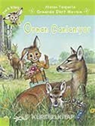 Orman Canlanıyor