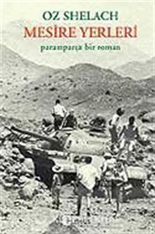 Mesire Yerleri / Paramparça Bir Roman