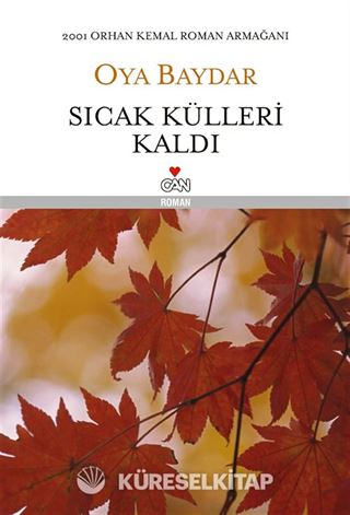 Sıcak Külleri Kaldı (Ciltli)