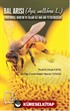 Bal Arısı (Apis Mellifera L.) Anatomisi, Genetik ve Islahı ile Ana Arı Yetiştiriciliği