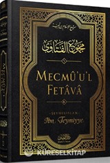 Mecmu'u'l Fetava (6. Cilt)