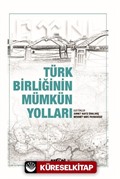 Türk Birliğinin Mümkün Yolları