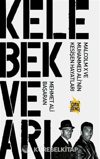 Kelebek ve Arı