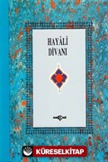 Hayali Divanı (3.hm)