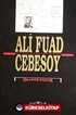 Ali Fuat Cebesoy