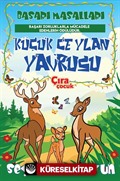 Küçük Ceylan Yavrusu