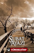 Şubat Ayazı