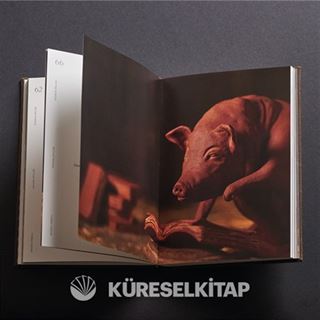 Hayvan Çiftliği (Kutulu Özel Baskı)