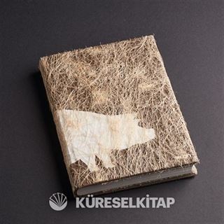 Hayvan Çiftliği (Kutulu Özel Baskı)