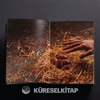 Hayvan Çiftliği (Kutulu Özel Baskı)