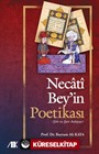 Necati Bey'in Poetikası