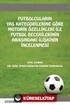 Futbolcuların Yaş Kategorilerine Göre Motorik Özellikleri İle Futbol Becerileri Arasındaki İlişkinin İncelenmesi