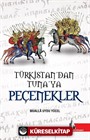 Türkistan'dan Tuna'ya Peçenekler