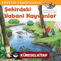 Şehirdeki Yabani Hayvanlar / Dünyayı Öğreniyorum