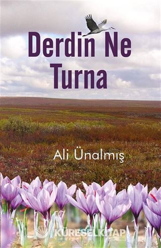 Derdin Ne Turna