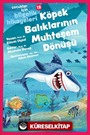 Köpek Balıklarının Muhteşem Dönüşü / Çocuklar için Bilgelik Hikayeleri 13