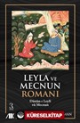 Leyla ve Mecnun Romanı