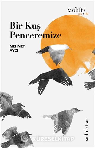 Bir Kuş Penceremize