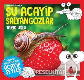 Daha da Küçükler İçin Şu Acayip Salyangozlar