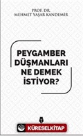 Peygamber Düşmanları Ne Demek İstiyor?