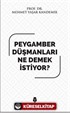 Peygamber Düşmanları Ne Demek İstiyor?