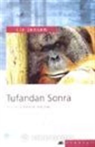 Tufandan Sonra