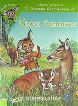 Afacan Tavşanla Ormanda Dört Mevsim Zeka Küpü Seti (4 Kitap)