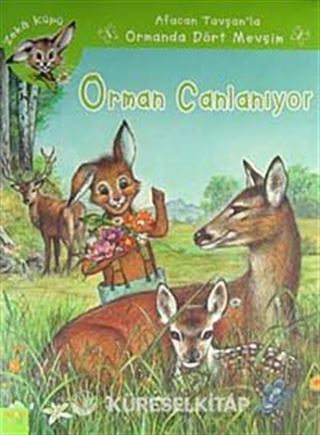 Afacan Tavşanla Ormanda Dört Mevsim Zeka Küpü Seti (4 Kitap)