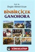 Binbirçiçek Ganohora