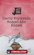 Deniz Kıyısında Koşan Ala Köpek