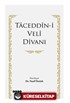 Taceddin-İ Veli Divanı