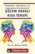 Felsefesi, Teknikleri ve Uygulama Örnekleriyle Çözüm Odaklı Kısa Terapi