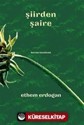 Şiirden Şaire