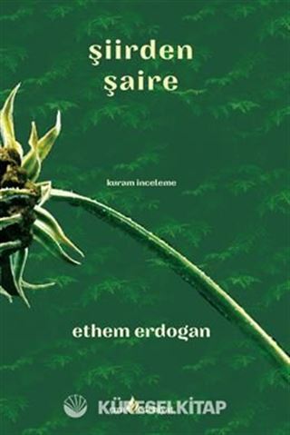 Şiirden Şaire
