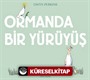 Ormanda Bir Yürüyüş