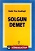 Solgun Demet