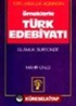 Toplumsallık Açısından Örneklerle Türk Edebiyatı İslamlık Sürecinde