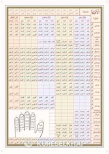 Arapça Emsile Şeması (Poster Tablo)