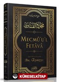 Mecmûu'l-Fetava (14. Cilt)