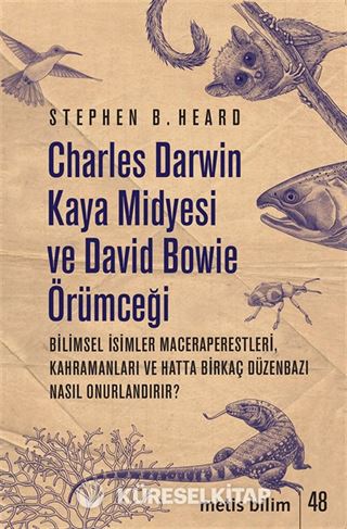 Charles Darwin Kaya Midyesi ve David Bowie Örümceği