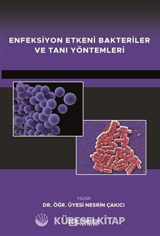 Enfeksiyon Etkeni Bakteriler ve Tanı Yöntemleri