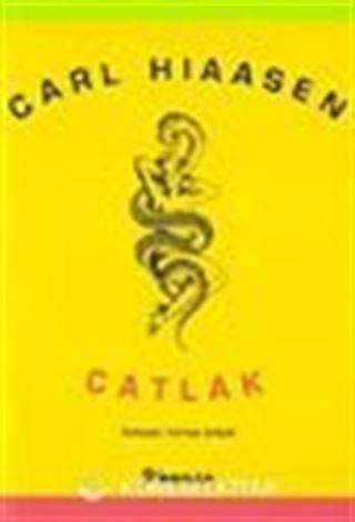 Çatlak