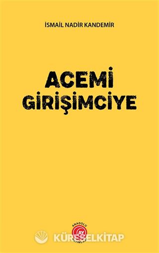 Acemi Girişimciye