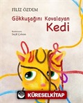 Gökkuşağını Kovalayan Kedi (Karton Kapak)