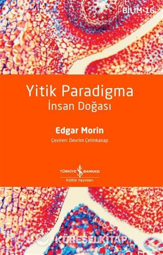 Yitik Paradigma