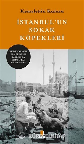 İstanbul'un Sokak Köpekleri
