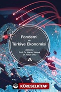 Pandemi ve Türkiye Ekonomisi