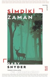 Şimdiki Zaman