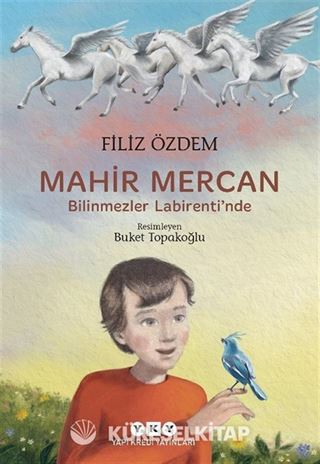 Mahir Mercan / Bilinmezler Labirenti'nde